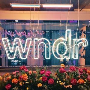 Meet your Posher, Molly